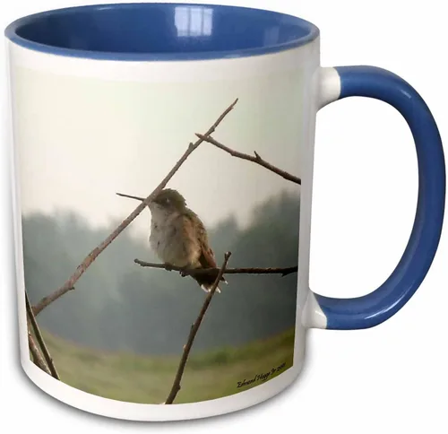 Vista 11 de 3dRose Female Hummingbird 11oz Two-Tone Black Mug