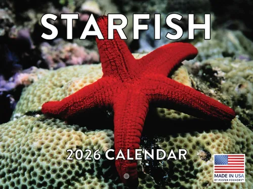 Vista 97 de Calendario de Cocodrilo 2026 Calendario de Pared Mensual 12 Meses Fabricado en Estados Unidos