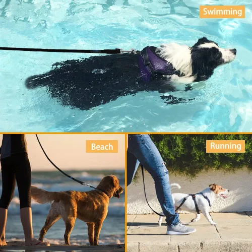 Vista 7 de Vivifying Correa impermeable para perro, correa de entrenamiento para perros de 20 pies, correa duradera con revestimiento de PVC, correa larga