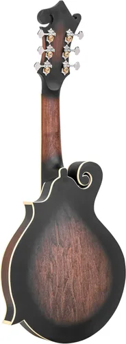 Vista 2 de Goldtone F-6 Manditar Cutaway Mando-Guitarra con estuche