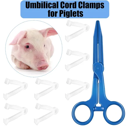 Vista 5 de Nuanchu 100 pinzas desechables para cordón umbilical y 1 pinza hemostática, kit de parto de pinzas de cordón umbilical de cerdo para veterinarios