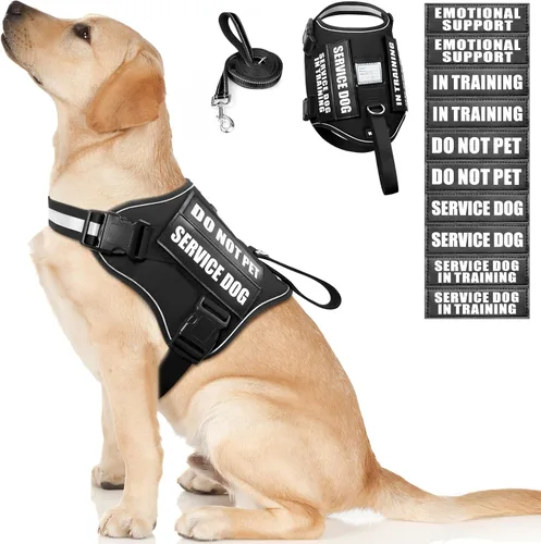 Vista 16 de Juego de arnés y correa para perro de servicio, chaleco de entrenamiento para perros con 10 parches para perros, chaleco de arnés para perros