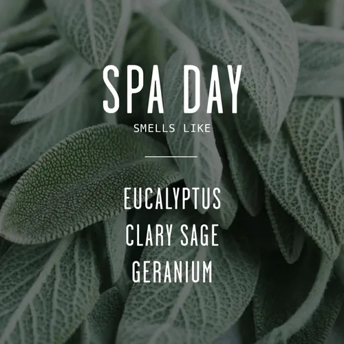 Vista 4 de Regalos para el día de San Valentín para ella, velas de San Valentín, regalo de San Valentín para novia, vela Be My Valentine con eucalipto, salvia