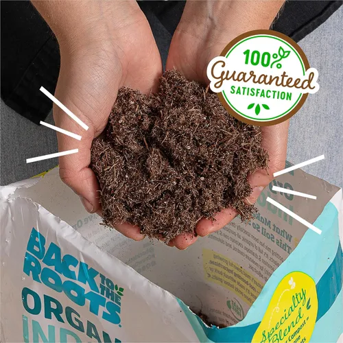 Vista 7 de Back to The Roots Mezcla 100% orgánica para macetas de interior (6 cuartos de galón), promueve el crecimiento saludable de las plantas