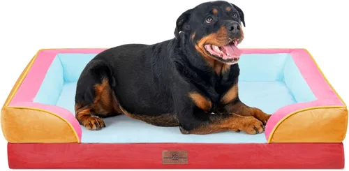 Vista 253 de Comfort Expression Cama ortopédica para perros extra grandes de 45 x 35 pulgadas, cama para mascotas XL de espuma tipo caja de huevos impermeable