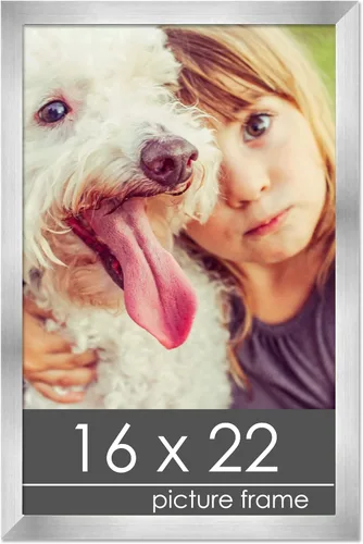 Vista 104 de Marco de madera de peltre plateado de 3 x 4 pulgadas, acrílico UV, respaldo de tablero de espuma y accesorios para colgar, marco de 3 x 4 pulgadas