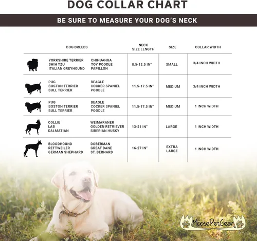 Vista 6 de Collar de perro – Collares ajustables para mascotas, 1 pulgada de ancho, grande, leopardo