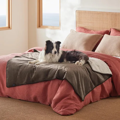Vista 138 de Bedsure - Mantas impermeables para perros pequeños - Manta de felpa de sherpa con impresión suave lavable para perros y gatos, protector de muebles