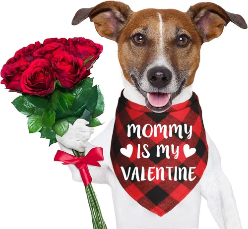 Vista 5 de Paquete de 2 pañuelos para perros para el día de San Valentín, a cuadros, para perros pequeños, medianos y grandes, mascotas (rojo y rosa)