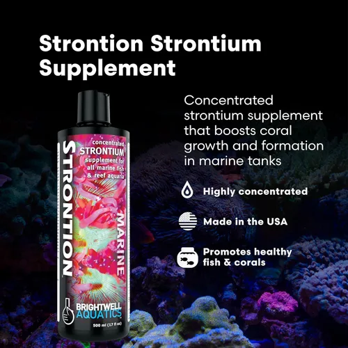 Vista 2 de Brightwell Aquatics Strontion - Suplemento de estroncio iónico de alta resistencia para acuarios de arrecife que apoya el crecimiento esquelético
