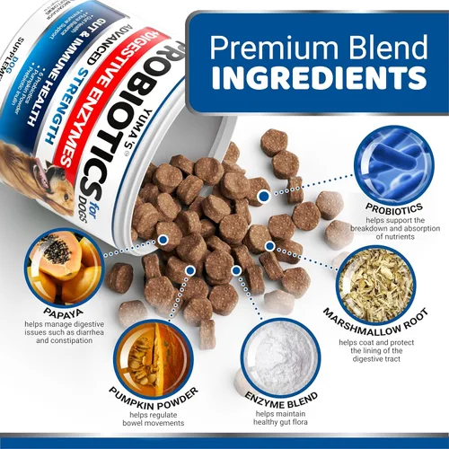 Vista 3 de Probióticos para perros y enzimas digestivas 170 probióticos masticables para perros Probiótico para perros Anti diarrea, malestar estomacal
