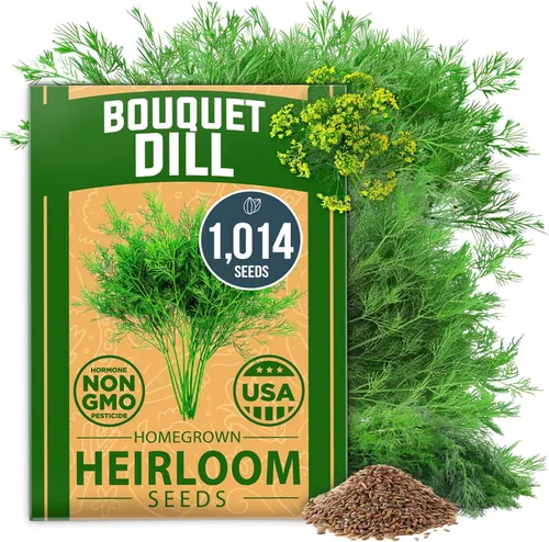 Vista 101 de Bóveda de 10 semillas de hierbas culinarias - Semillas criollas y sin transgénicos – Más de 3000 semillas para plantar en jardín de hierbas exterior