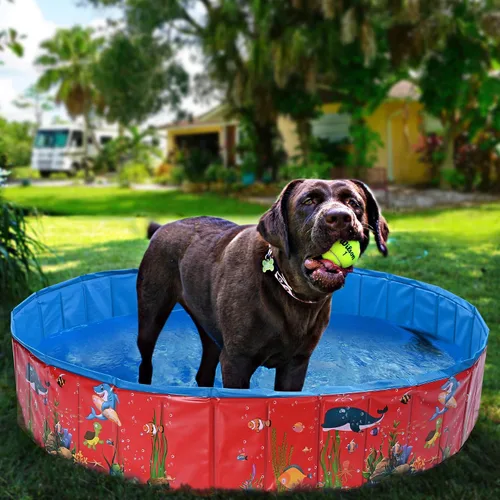 Vista 7 de Yescom - Piscina plegable para perros, piscina dura para niños, bañera refrescante para mascotas