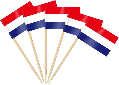 Vista 45 de AhfuLife Palillo de dientes con bandera de Argentina, 100 piezas de palillos de cóctel de Argentina, adornos para cupcakes argentinos