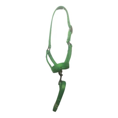 Cattle Halters Matching Lead Bull Cow Yearling Calf Newborn (Calf, Lime Green)