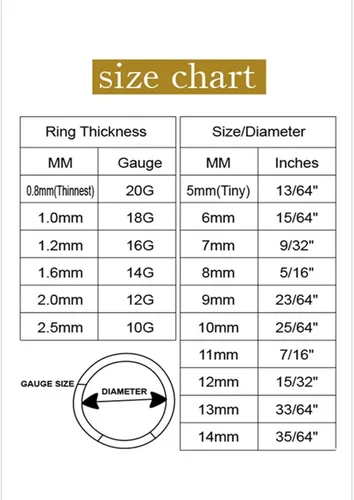 Vista 6 de Aretes de aro de acero quirúrgico 316L para nariz aro de septum clicker con bisagras anillo de labio pendiente de perforación para cartílago