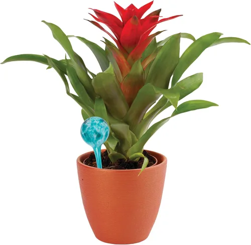 Vista 4 de Wyndham Amigos de las plantas de interior con herramientas de riego