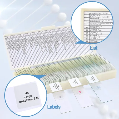 Vista 4 de 60 portaobjetos de microscopio con muestras para niños, diapositivas de microscopio preparadas para microbiología infantil, diapositivas