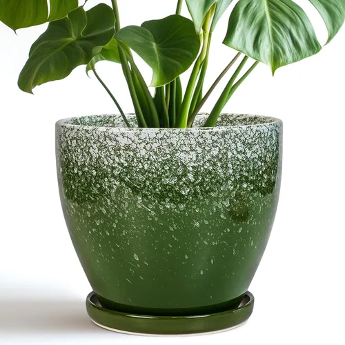 Vista 48 de Macetas de Cerámica EPFamily - Macetas de 6 Pulgadas para Plantas de Interior y Exterior, Maceta Redonda con Agujero de Drenaje y Platillo, Macetas