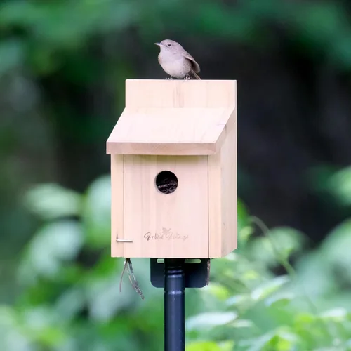 Vista 5 de Nature's Way Caja de cedro Wren House con puerta limpia, casa de pájaros silvestres y decoración al aire libre, marrón