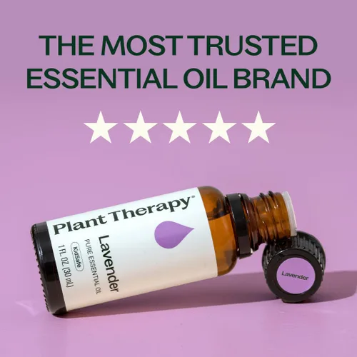 Vista 3 de Plant Therapy Aceite esencial de lavanda 100% puro, sin diluir, aromaterapia natural, grado terapéutico, 3.4 fl oz (3.3 oz)
