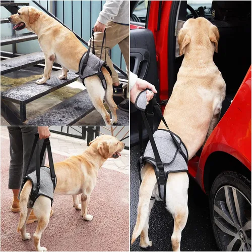 Vista 5 de Dotoner Arnés para perros grandes, soporte para las patas traseras para ayudar a rehabilitar las extremidades traseras de perros ancianos con patas