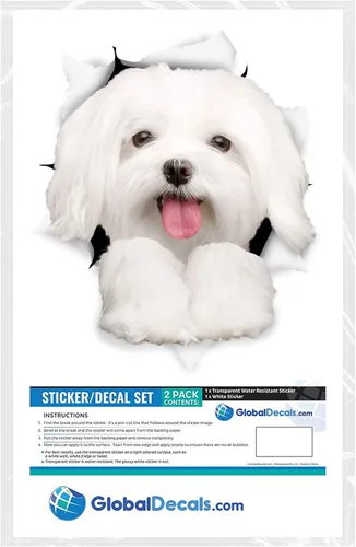 Vista 6 de Winston & Bear Calcomanías 3D para perros, paquete de 2, lindas calcomanías de perro maltés para pared, nevera, inodoro y más, calcomanías maltesas