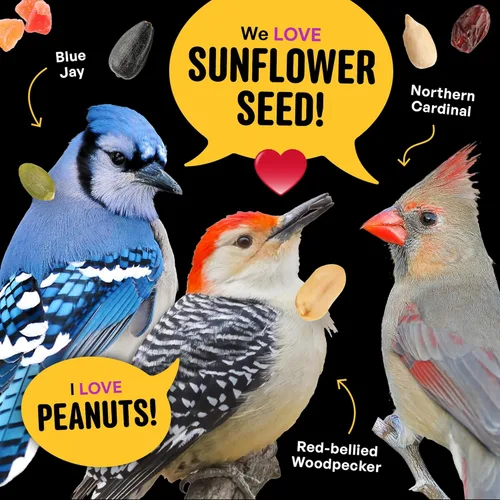 Vista 7 de Cool Birds - Mezcla de semillas para pájaros silvestres de nueces y frutas – 10 libras. Comida gourmet para pájaros con corazones de girasol