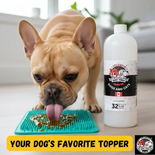 Vista 4 de Bunny Punch - Aceite de salmón puro del Atlántico para perros y gatos, decoración líquida para alimentos, 32 onzas