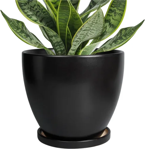 Vista 37 de Macetas de Cerámica EPFamily - Macetas de 6 Pulgadas para Plantas de Interior y Exterior, Maceta Redonda con Agujero de Drenaje y Platillo, Macetas