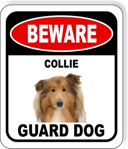 Vista 109 de BEWARE BASSETT HOUND GUARD DOG - Letrero compuesto de aluminio para exteriores, 8.5 x 10 pulgadas