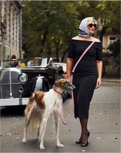 Vista 7 de Correa de perro de manos libres, cuerda multifuncional para el cuerpo de 2.5 metros con mango a prueba de explosiones y correa ajustable