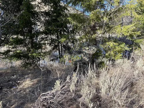 Vista 8 de QuikCamo Mossy Oak 3D Leafy Camo Ghillie Suit - Breathable Quiet Mesh, Snaps and Zippered Pockets for Turkey Hunting