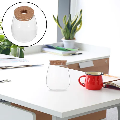 Vista 9 de 2 Sets Hydroponic Glass Vase with Cork for Orchid Cuttings