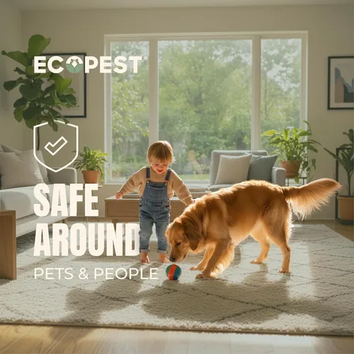 Vista 8 de Silverfish Trap - Paquete de 12 Trampa adhesiva para pegamento interior para peces plateados, Firebrat y otros insectos e insectos rastreros