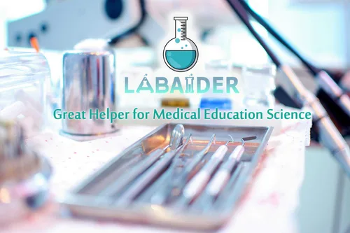 Vista 7 de Paquete de 3 bandejas profesionales médicas quirúrgicas de acero inoxidable para procedimientos dentales, bandejas de herramientas de laboratorio
