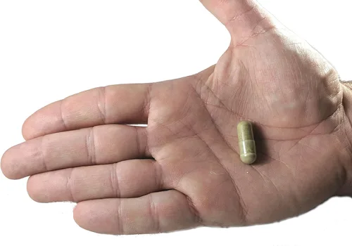 Vista 7 de Vitalité Now! Super Strength Best Olive Leaf Extract (Non-GMO) - 20% Oleuropein - Immune Support Supplement - Up to 4 Months - 750mg Capsules