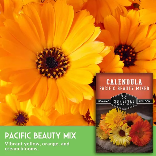 Vista 3 de Pacific Beauty Mix - Semillas de caléndula para plantar, caléndula colorida con flores comestibles y medicinales, aptas para polinizadores, semillas