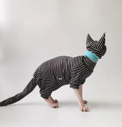 Vista 3 de Sphynx - Conjunto de camisa transpirable a rayas negras para gatos, gorro y camisa para mascotas (talla S)