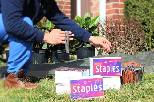 Vista 4 de Grapas de jardín para césped, grapas para tela de paisaje, alfileres de anclaje, grado profesional. Longitud total de 6 pulgadas, S, Galvanizado