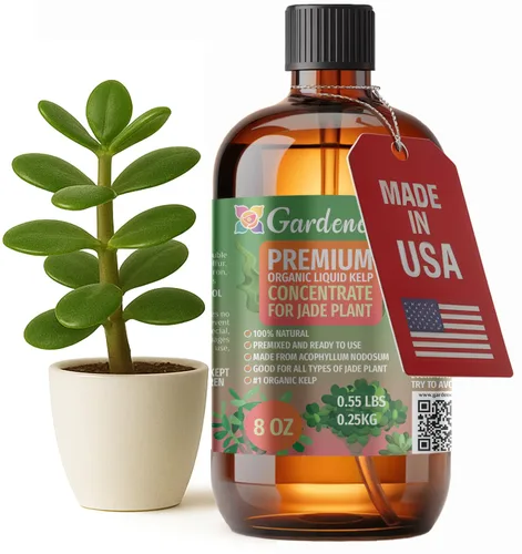 Vista 30 de GARDENERA Superalimento orgánico prémium de algas marinas y algas marinas para plantas AGLAONEMA, 8 onzas, concentrado de fertilizante líquido