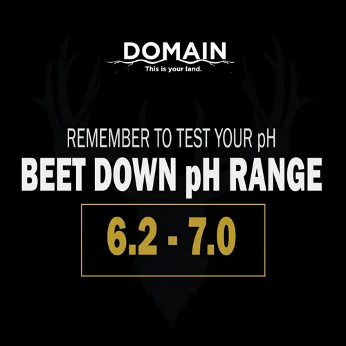 Vista 5 de Domain - Semilla de parcela de remolacha para exteriores, para ciervos, 1/4 de acre, variedad especial de remolacha azucarera diseñada para producir