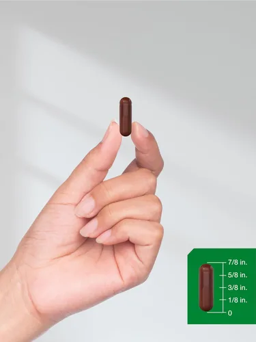Vista 8 de Horbäach Extracto de corteza de pino 180 cápsulas Estandarizado para contener 75% de proantocianidinas Suplemento sin OMG, sin gluten Alta
