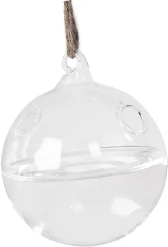 Jarrón colgante de cristal para decoración del hogar, diseño de doble agujero para plantas de interior, terrario montado en la pared para exhibición