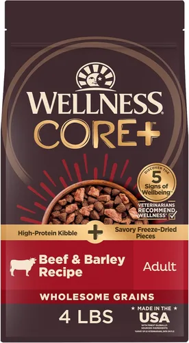 Wellness CORE+ Alimento seco para perros con trozos liofilizados, granos saludables, alta proteína, receta natural, carne de res y cebada, (bolsa de