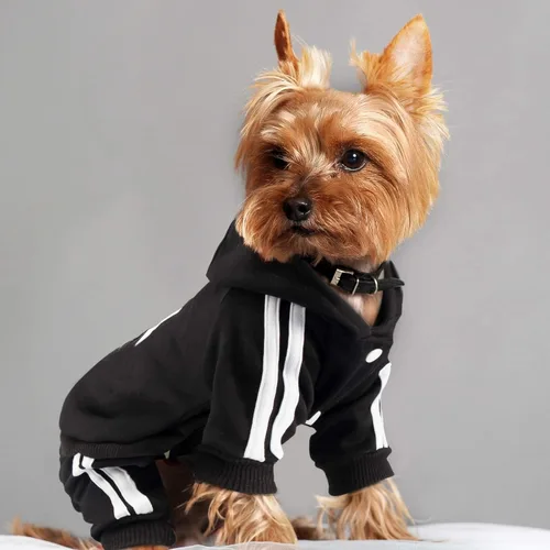 Vista 6 de Weowin - Traje para mascotas Lindo suéter con capucha para perro, ropa de invierno, pijama de 4 patas, color negro para cachorros, perros pequeños