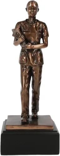 Ebros Gift Estatua médica profesional de enfermería en servicio en resina galvanizada de bronce con premio base de trofeo, hospital, clínica,