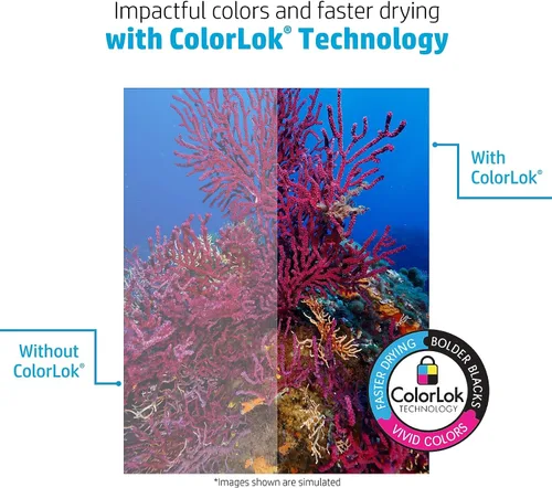 Vista 5 de HP Printer Paper Office 20 libras, 8.5 x 11, 1 resma Quickpack