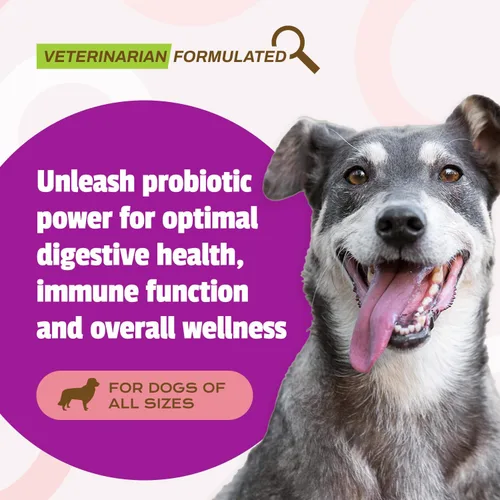 Vista 3 de Pet Naturals Probiótico diario para gatos y perros