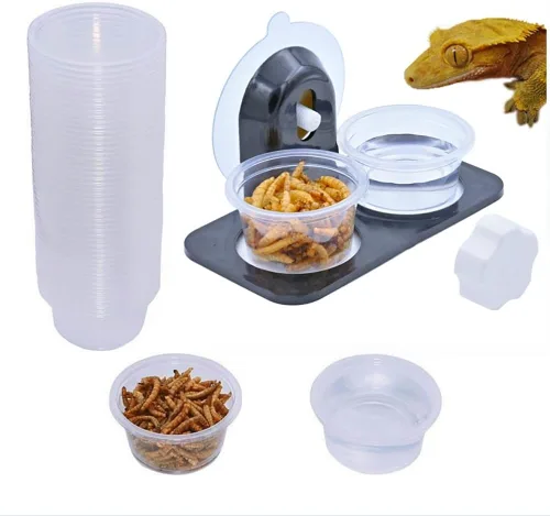 100 tazas + repisa de alimentación [ventosa], cuencos de comida para reptiles anfibios y plato de agua para Gecko crestado, lagarto u otros